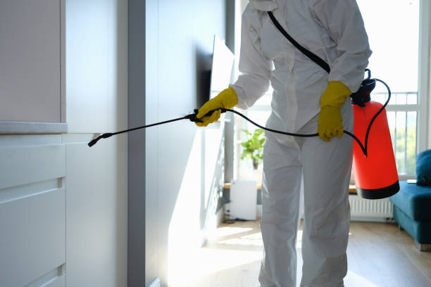 Best Toxic Mold Removal  in Potterville, MI