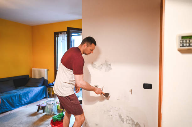 Best Mold Cleaning Services  in Potterville, MI